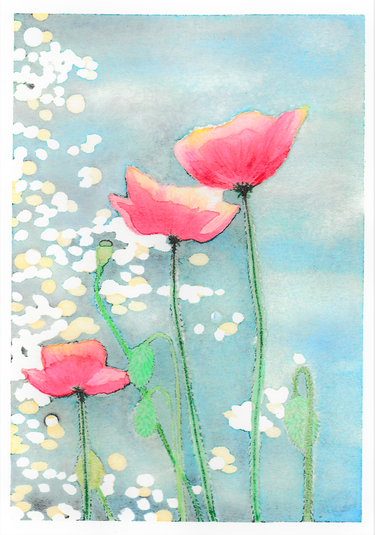 Poppy painting